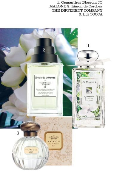 Choose spring perfume 1