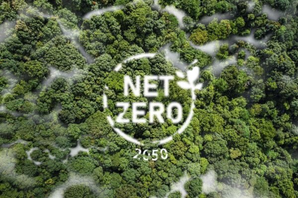 Net Zero – The destination of sustainability? 3