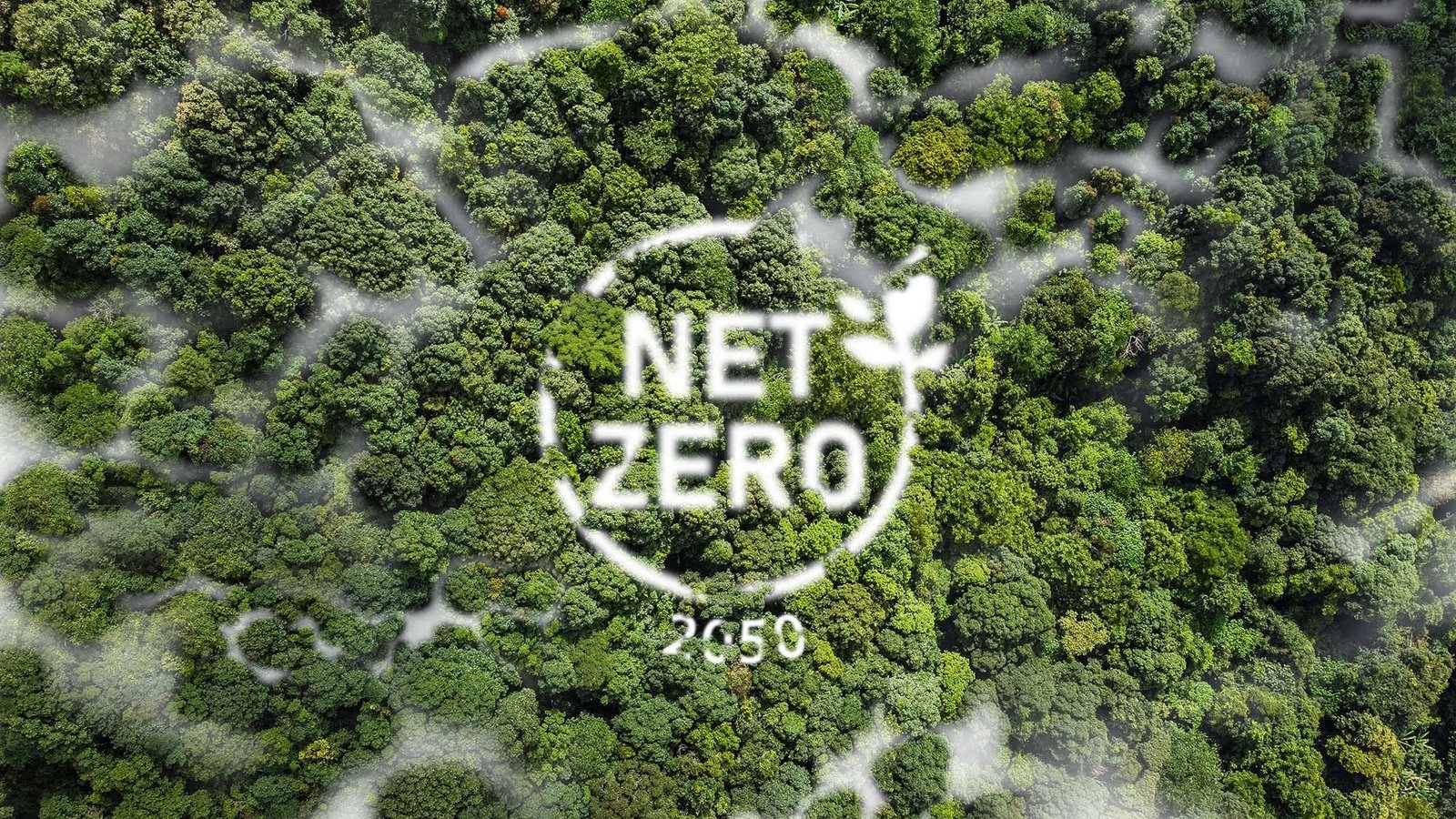 Net Zero – The destination of sustainability? 3